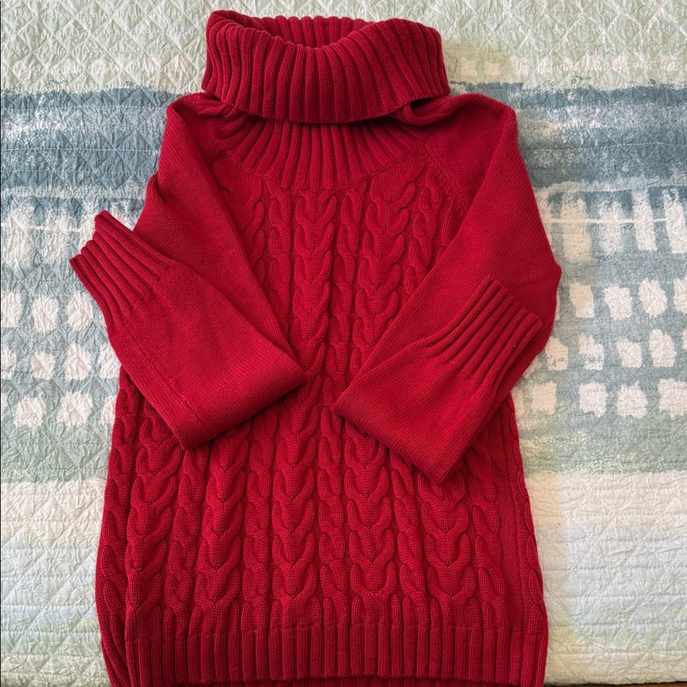 Banana Republic Scarlet Cable Knit Turtleneck Sweater